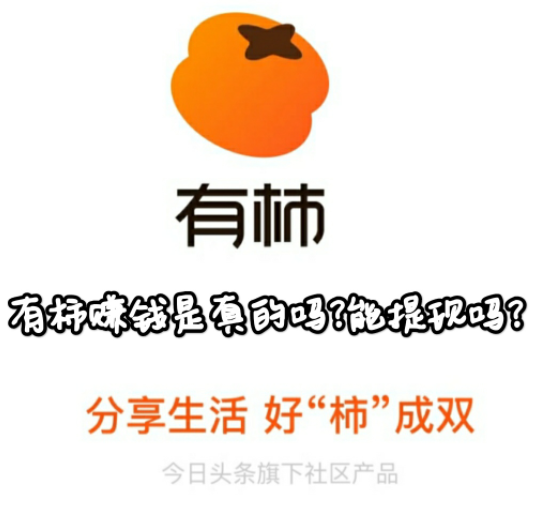 有柿赚钱是真的吗?能提现吗?真相出来了