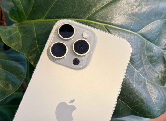 iPhone 16 微距摄影使用攻略：拍摄技巧、设置与控制方式教学，欣赏超惊艳微小世界